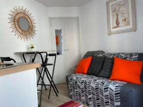 Studio Amélie-les-Bains-Palalda, 1 pièce, 2 personnes - FR-1-659-54